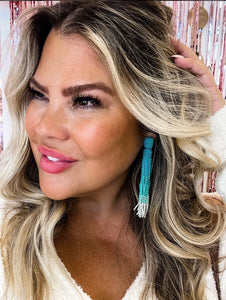 Ombre Fringe Earrings